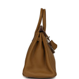 Hermes Birkin 25 Bronze Dore Verso Togo Palladium Hardware - Thumbnail View 3