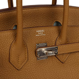 Hermes Birkin 25 Bronze Dore Verso Togo Palladium Hardware - Thumbnail View 7