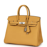 Hermes Birkin 25 Paille Togo Palladium Hardware - Thumbnail View 5