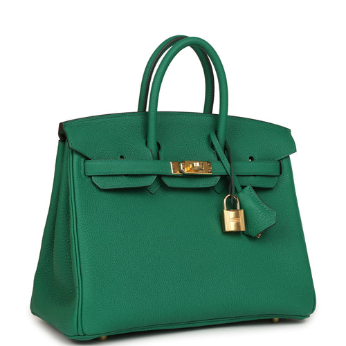 Hermes Birkin 25 Vert Vertigo Togo Gold Hardware
