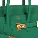 Hermes Birkin 25 Vert Vertigo Togo Gold Hardware - Thumbnail View 7