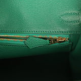 Hermes Birkin 25 Vert Vertigo Togo Gold Hardware - Thumbnail View 9