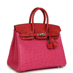 Hermes Birkin 25 Rose Tyrien, Rouge Vif Ostrich Touch Palladium Hardware