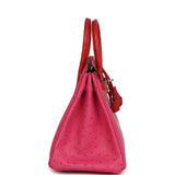 Hermes Birkin 25 Rose Tyrien, Rouge Vif Ostrich Touch Palladium Hardware - Thumbnail View 3