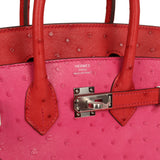 Hermes Birkin 25 Rose Tyrien, Rouge Vif Ostrich Touch Palladium Hardware - Thumbnail View 7