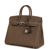 Hermes Birkin 25 Etoupe Togo Palladium Hardware - Thumbnail View 5