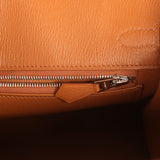 Hermes Birkin 25 Gold Matte Alligator Palladium Hardware - Thumbnail View 9