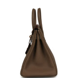 Hermes Birkin 25 Etoupe Togo Gold Hardware - Thumbnail View 3