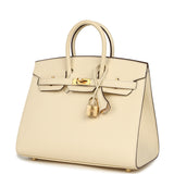 Hermes Birkin Sellier 25 Nata Epsom Gold Hardware - Thumbnail View 5
