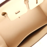Hermes Birkin Sellier 25 Nata Epsom Gold Hardware - Thumbnail View 8