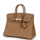 Hermes Birkin 25 Chai Togo Gold Hardware - Thumbnail View 5
