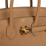 Hermes Birkin 25 Chai Togo Gold Hardware - Thumbnail View 7