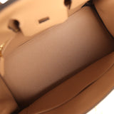 Hermes Birkin 25 Chai Togo Gold Hardware - Thumbnail View 8