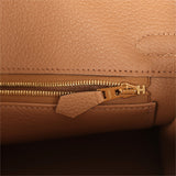 Hermes Birkin 25 Chai Togo Gold Hardware - Thumbnail View 9