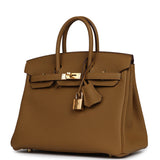 Hermes Birkin 25 Bronze D'ore Togo Gold Hardware - Thumbnail View 5