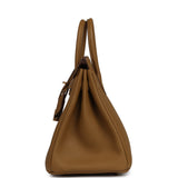 Hermes Birkin 25 Bronze D'ore Togo Gold Hardware - Thumbnail View 4