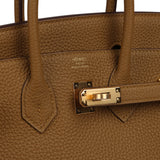 Hermes Birkin 25 Bronze D'ore Togo Gold Hardware - Thumbnail View 7