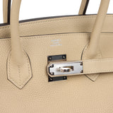 Hermes Birkin 30 Trench Togo Palladium Hardware - Thumbnail View 7