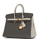 Hermes Special Order (HSS) Birkin 25 Etain, Craie Togo Brushed Gold Hardware - Thumbnail View 5