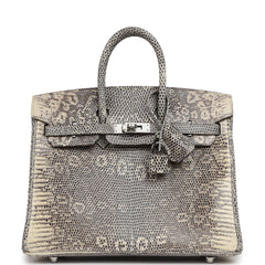 Hermes Birkin 25 Ombre Shiny Varanus Salvator Lizard Palladium Hardware