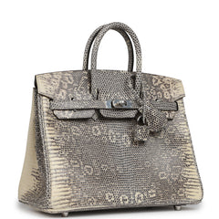 Hermes Birkin 25 Ombre Shiny Varanus Salvator Lizard Palladium Hardware