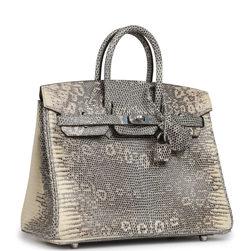 Hermes Birkin 25 Ombre Shiny Varanus Salvator Lizard Palladium Hardware