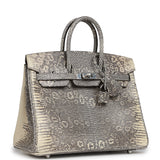 Hermes Birkin 25 Ombre Shiny Varanus Salvator Lizard Palladium Hardware - Thumbnail View 2