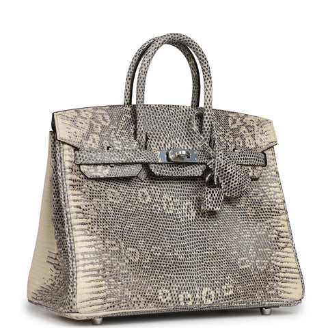 Hermes Birkin 25 Ombre Shiny Varanus Salvator Lizard Palladium Hardware