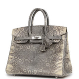 Hermes Birkin 25 Ombre Shiny Varanus Salvator Lizard Palladium Hardware - Thumbnail View 5