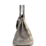 Hermes Birkin 25 Ombre Shiny Varanus Salvator Lizard Palladium Hardware - Thumbnail View 3