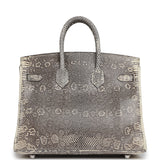Hermes Birkin 25 Ombre Shiny Varanus Salvator Lizard Palladium Hardware - Thumbnail View 4