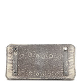 Hermes Birkin 25 Ombre Shiny Varanus Salvator Lizard Palladium Hardware - Thumbnail View 6