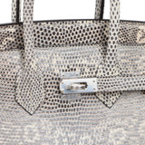 Hermes Birkin 25 Ombre Shiny Varanus Salvator Lizard Palladium Hardware - Thumbnail View 7