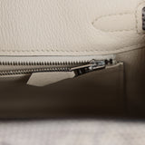 Hermes Birkin 25 Ombre Shiny Varanus Salvator Lizard Palladium Hardware - Thumbnail View 8