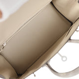 Hermes Birkin 25 Ombre Shiny Varanus Salvator Lizard Palladium Hardware - Thumbnail View 9