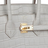 Hermes Birkin Sellier 25 Beton Matte Alligator Gold Hardware - Thumbnail View 7