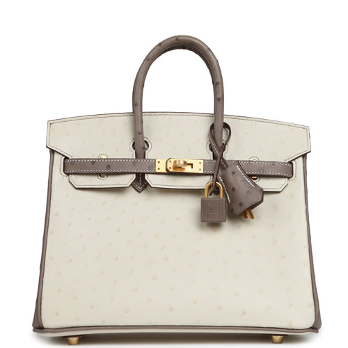 Hermes Special Order (HSS) Birkin 25 Beton, Gris Tourterelle Ostrich Brushed Gold Hardware