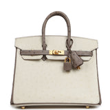 Hermes Special Order (HSS) Birkin 25 Beton, Gris Tourterelle Ostrich Brushed Gold Hardware - Thumbnail View 1