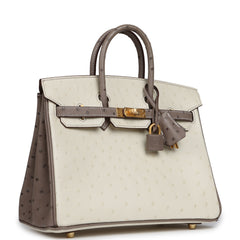 Hermes Special Order (HSS) Birkin 25 Beton, Gris Tourterelle Ostrich Brushed Gold Hardware