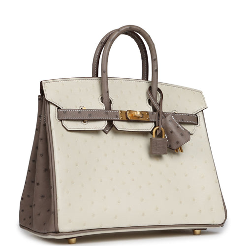 Hermes Special Order (HSS) Birkin 25 Beton, Gris Tourterelle Ostrich Brushed Gold Hardware