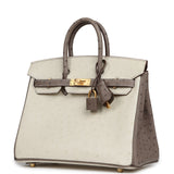 Hermes Special Order (HSS) Birkin 25 Beton, Gris Tourterelle Ostrich Brushed Gold Hardware - Thumbnail View 5