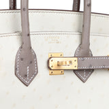 Hermes Special Order (HSS) Birkin 25 Beton, Gris Tourterelle Ostrich Brushed Gold Hardware - Thumbnail View 7