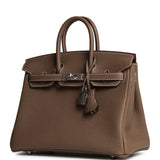 Hermes Birkin 25 Etoupe Togo Palladium Hardware - Thumbnail View 5