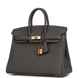 Hermes Birkin 25 Etain Togo Gold Hardware - Thumbnail View 5
