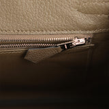 Hermes Birkin 25 Vert Loden Togo Palladium Hardware - Thumbnail View 8