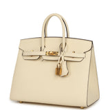 Hermes Birkin Sellier 25 Nata Epsom Gold Hardware - Thumbnail View 5