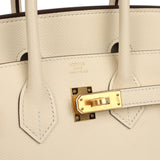 Hermes Birkin Sellier 25 Nata Epsom Gold Hardware - Thumbnail View 7