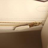 Hermes Birkin Sellier 25 Nata Epsom Gold Hardware - Thumbnail View 9