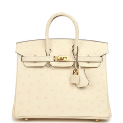 Hermes Birkin 25 Nata Ostrich Boreal Gold Hardware