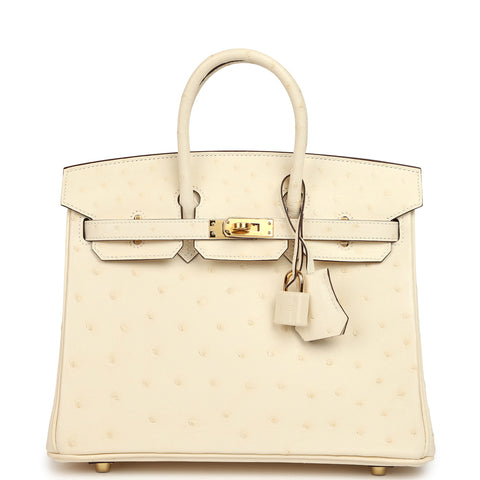 Hermes Birkin 25 Nata Ostrich Boreal Gold Hardware